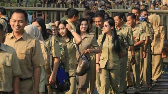Ilustrasi PNS (Foto: Tribunews.com)