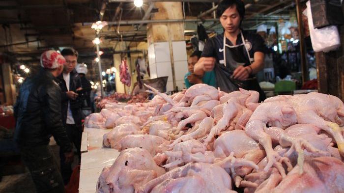 Pedagang daging ayam di pasar (Foto: Tribun)