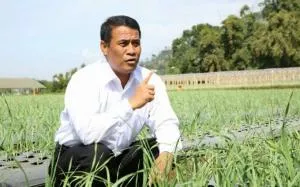 Respon Amran soal 3 Petugas Pertanian Tewas Ditembak di Papua
