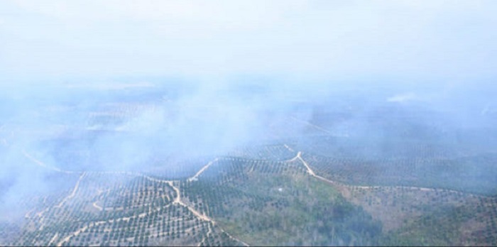 Ilustrasi Kebakaran Hutan dan Lahan. (Foto: Puspen TNI)