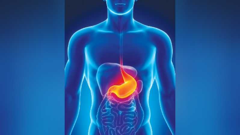 Nyeri Melilit Pada Bagian Perut Kenali Maag Dan Gerd