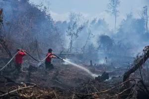 BMKG: Ada 64 Hotspot Karhutla di Sumut, Paling Banyak di Karo