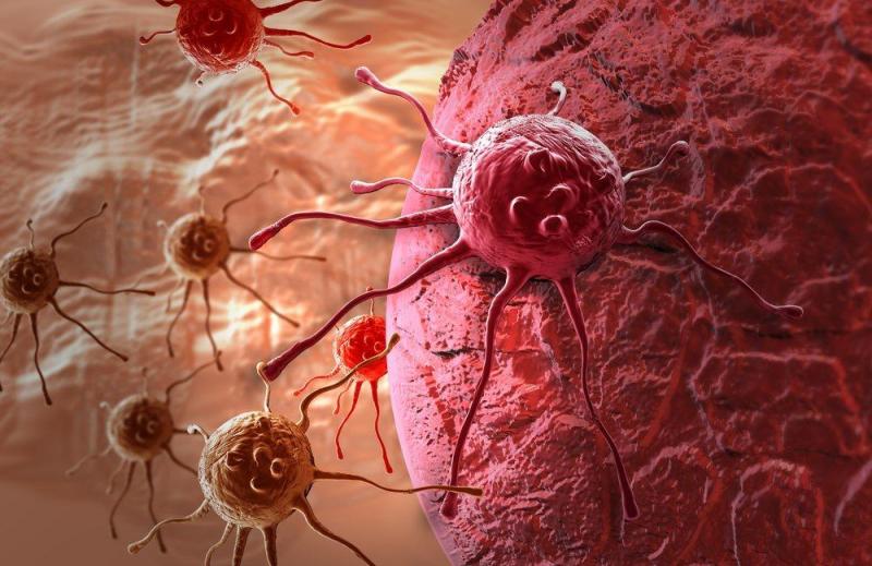 Ilustrasi sel-sel penyakit kanker (Ist)