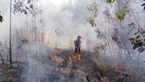 Imbas Asap Karhutla Indonesia, Malaysia Catat Lonjakan Kasus ISPA