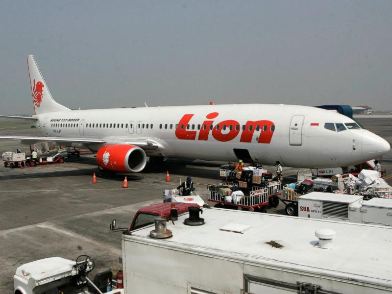 Lion Air (abcnews.com)