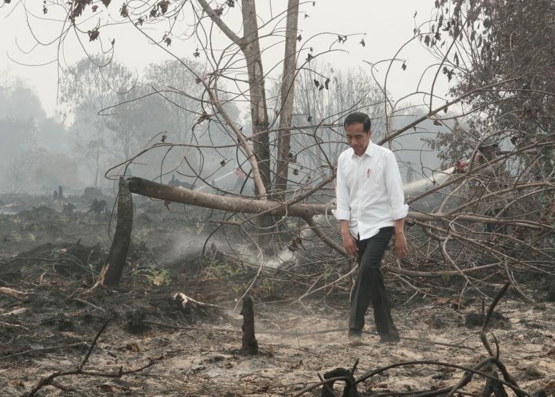 Presiden Joko Widodo meninjau kondisi Karhutla (elshinta.com)