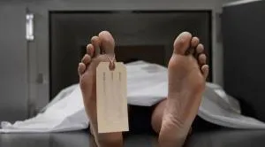 Prancis `Terpanggang` Gelombang Panas, Kamar Mayat Dipenuhi Jenazah