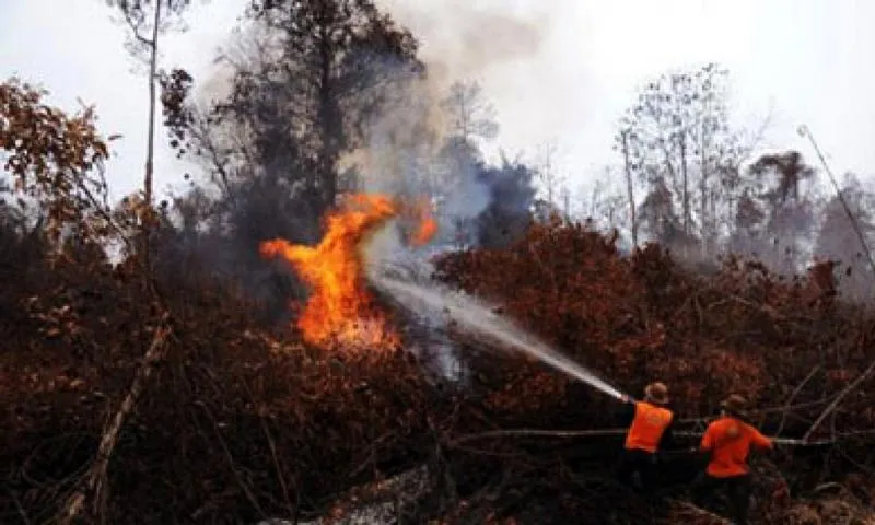 Polda Riau, Proses 32 Tersangka, Kasus Karhutla di Riau ( foto : datariau.com)