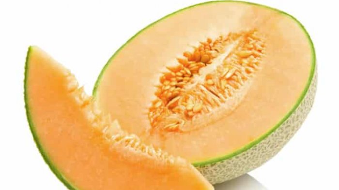 Manfaat Buah  Melon  Bagi Ibu Hamil