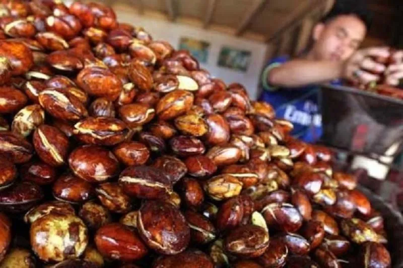 Ilustrasi Jengkol di Pasar (Foto:IDNTimes/korannonstop.com)