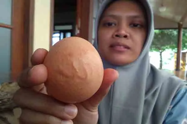Tampak Risa Damayanti memperlihatkan telur ayamnya yang berlafadz mirip Allah. (SINDOnews/Solichan Arif)