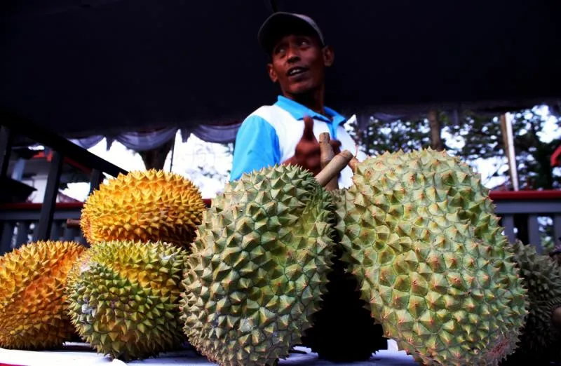 Para pengunjung dibesikan kesempatan makan durian dengan membayar lima puluh ribu rupiah per buah, maksimal 2 biji yang disediakan dengan jumlah terbatas. Robinsar Nainggolan