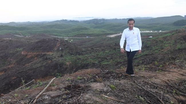 Presiden Jokowi akan membangun Istana Negara di dataran paling tinggi di ibu kota baru di Penajam Paser Utara dan Kutai Kertanegara. (ANTARA FOTO/Akbar Nugroho Gumay)