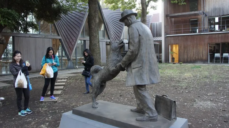 Ilustrasi Anjing Hachiko (Male)