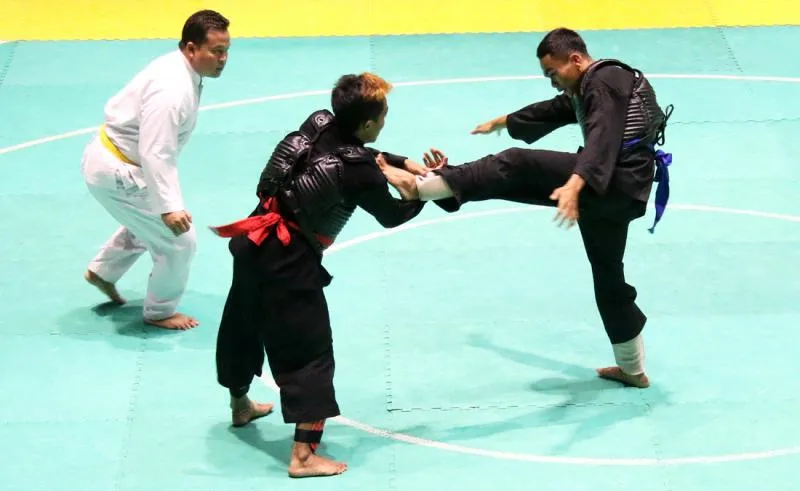 Ilustrasi. Ratusan pendekar Pagar Nusa bertarung dalam Kejurnas dan Festival III Pencak Silat di Padepokan Pencak Silat, TMII, Jakarta, Sabtu (4/1). Robinsar Nainggolan