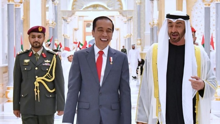 Jokowi Tunjuk Putra Mahkota UEA Jadi Dewan Pengarah Ibu Kota Baru. (Detik)
