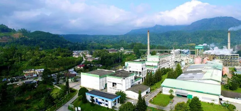 Lokasi Usaha PT Toba Pulp Lestari di Tobasa, Sumatera Utara (Ist)