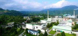 Respon Toba Pulp soal Tuduhan Pengemplangan Pajak