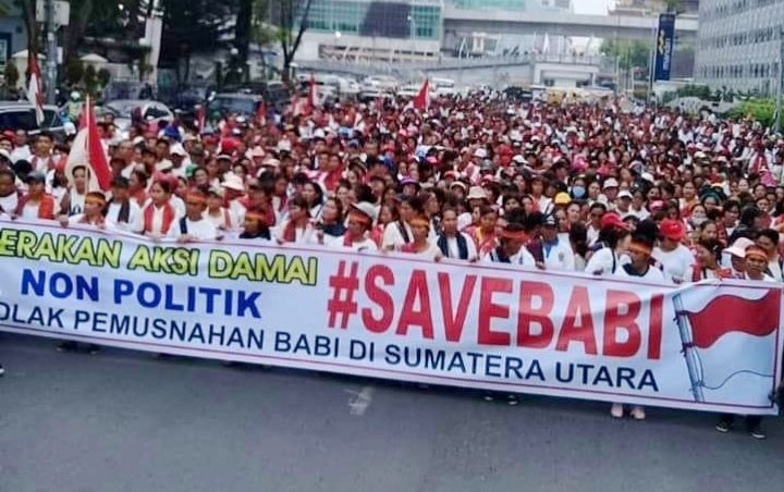 demo dengan tema #savebabi di Medan (wowkeren)