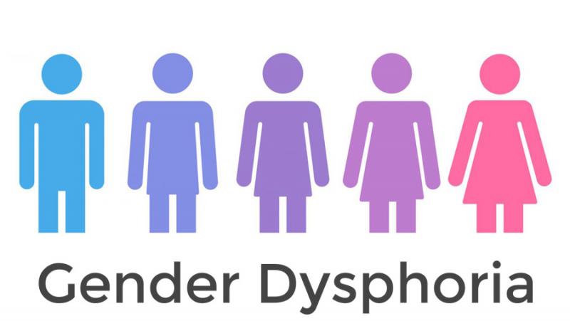 Ilustrasi Gender Dysphoria (Foto:napp.org.au)