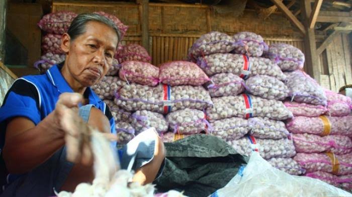 Pedagang bawng putih di Pasar (Foto: Tribunnews.com)
