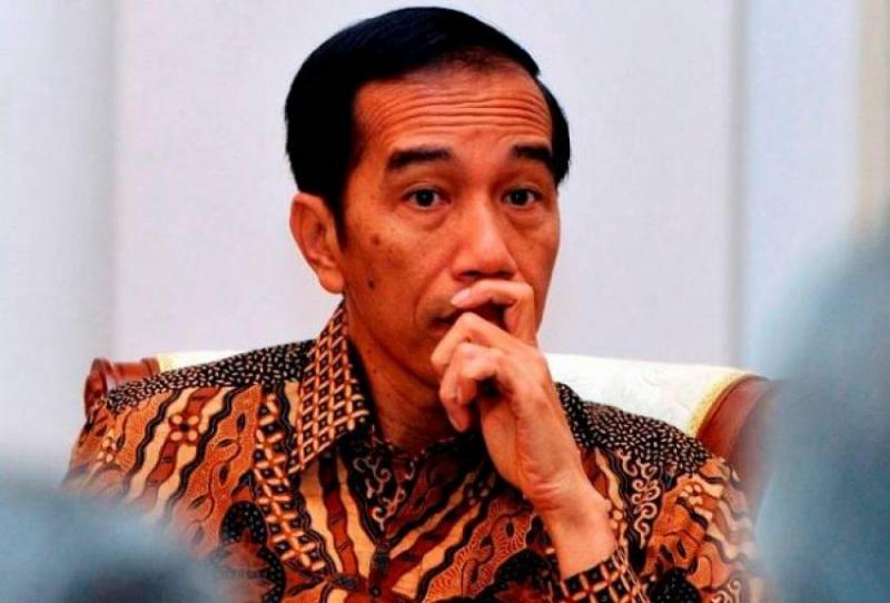 Presiden Jokowi (teropong senayan)