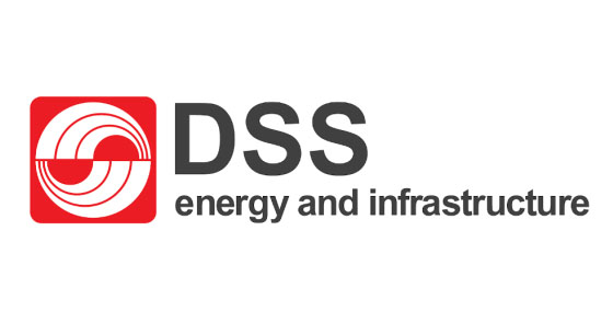 Logo anak perusahaan Sinar Mas, DSS (Foto:Sinar Mas)