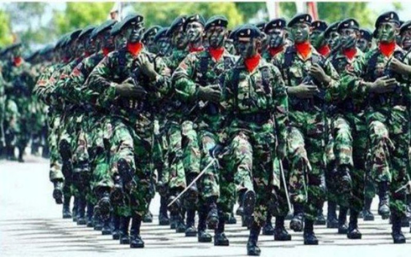 Ilustrasi Tentara nasional Indonesia AD (instagram @tentaranasionalindonesia.id)