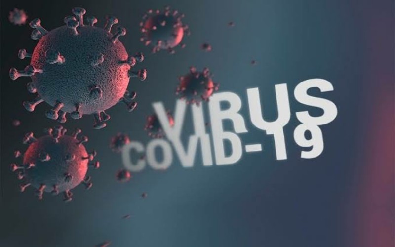Virus Corona. (Okezone)