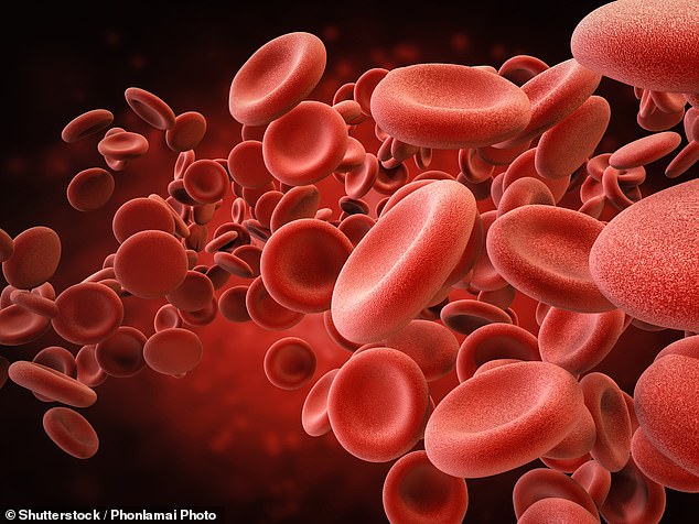 Trombosit, yang merupakan sel darah yang menggumpal, hiperaktif dalam sampel darah dari pasien Covid-19 di RS. Universitas Utah di Salt Lake City (Shutterstock)