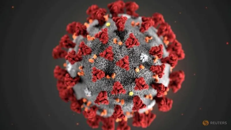 Virus corona (ist)
