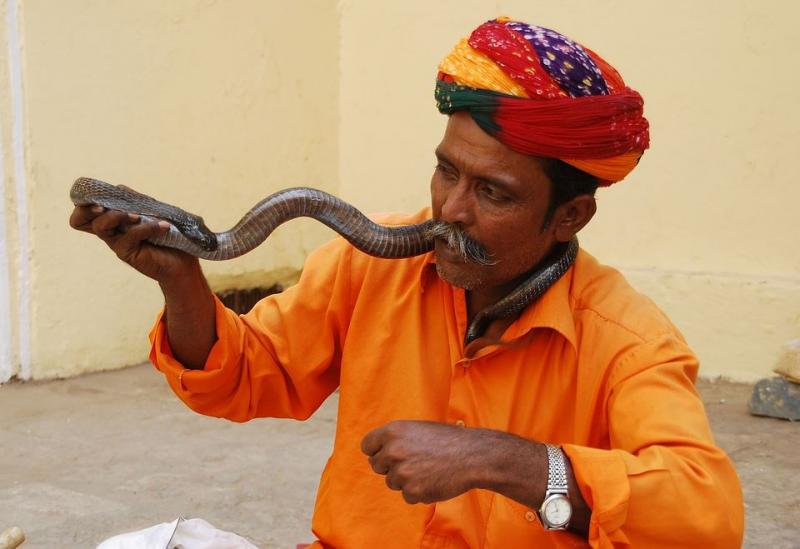 Pawang ular di India (Foto: Pixabay)