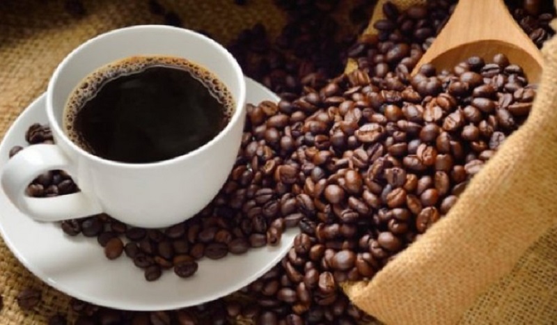 Ilustrasi Biji Kopi (Net)