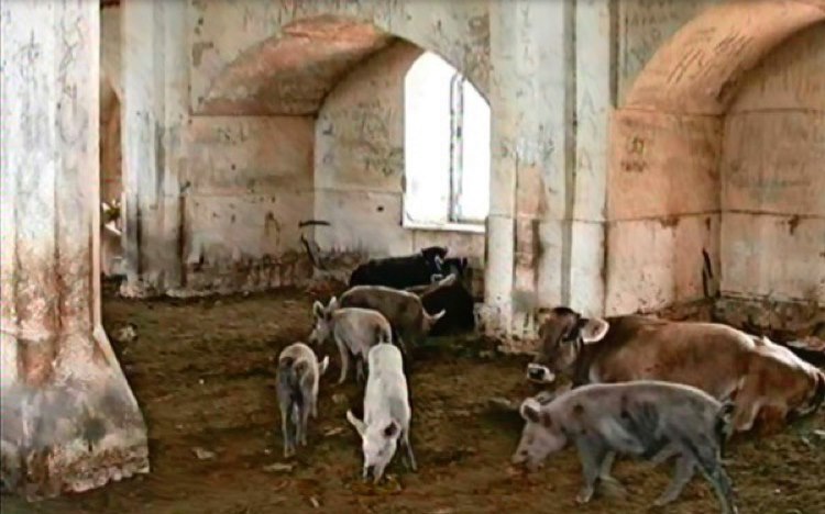 Masjid bersejarah di Azerbaijan jadi kandang babi (kanal sembilan)