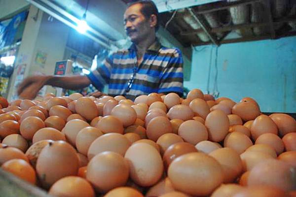 Ilustrasi kenaikan harga telur (Bisnis)