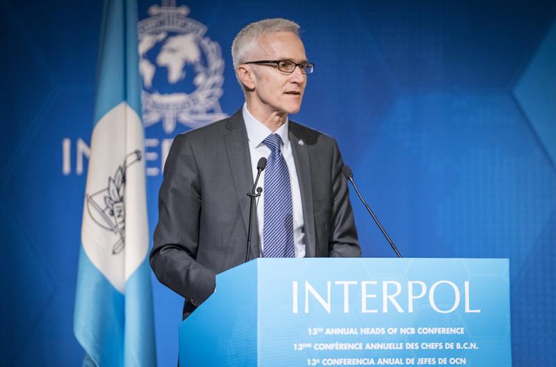 Interpol soroti jatuhnya pesawat Sriwijaya Air Sj182 (interpol)