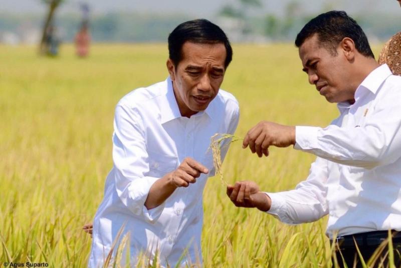 Tak senang dengan impor beras, Presiden Jokowi akan hentikan impor beras hingga akhir tahun (Republika)