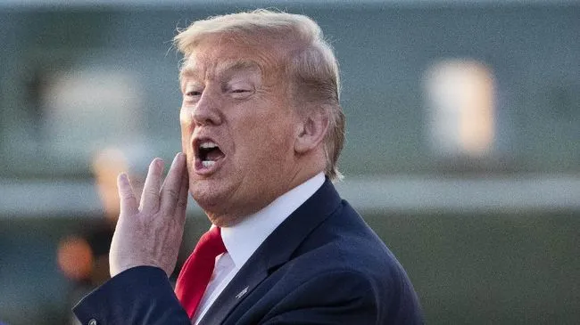 Donald Trump (CNN)