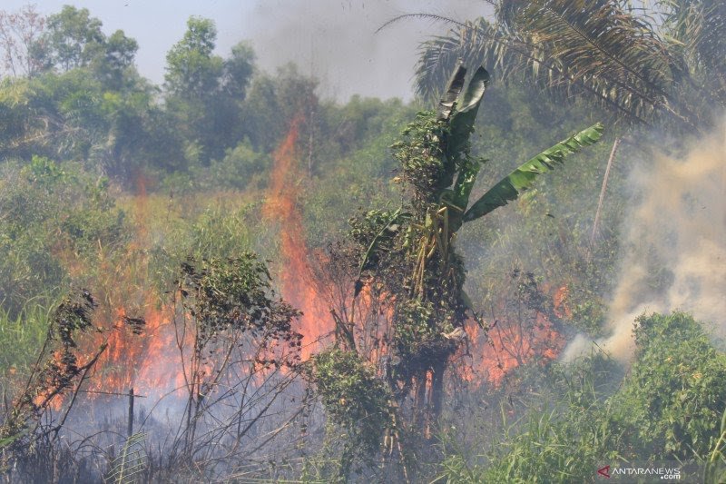 Api membakar semak belukar pada lahan kosong milik warga di Kelurahan Tanjung Palas Dumai, Riau, Jumat, 26 Februari 2021. (Antara)