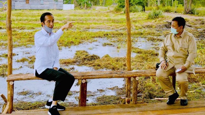 Jokowi dan Prabowo dalam proyek Food Estate (Detik)