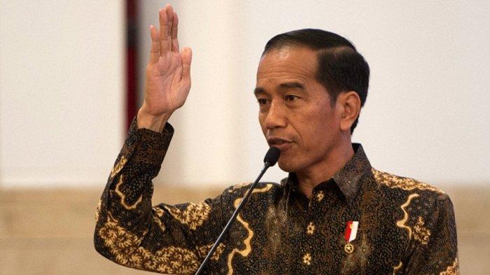 Permintaan Presiden Jokowi kepada industri otomotif nasional (Tribunnews)