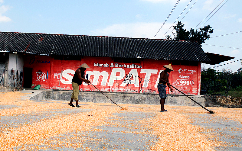 Kabupaten Grobogan sebagai salah satu penyangga pangan Provinsi Jawa Tengah pada bulan Mei 2021 melangsungkan panen raya jagung. Saat ini harga jual jagung pipih dari petani adalah Rp 5.500 perkilogramnya. Kabupaten Grobogan merupakan salah satu lumbung jagung nasional, dengan produksi jagung menyumbang 29,3 % dari produksi jagung Jawa Tengah dan 2,8 % untuk nasional. Robinsar Nainggolan