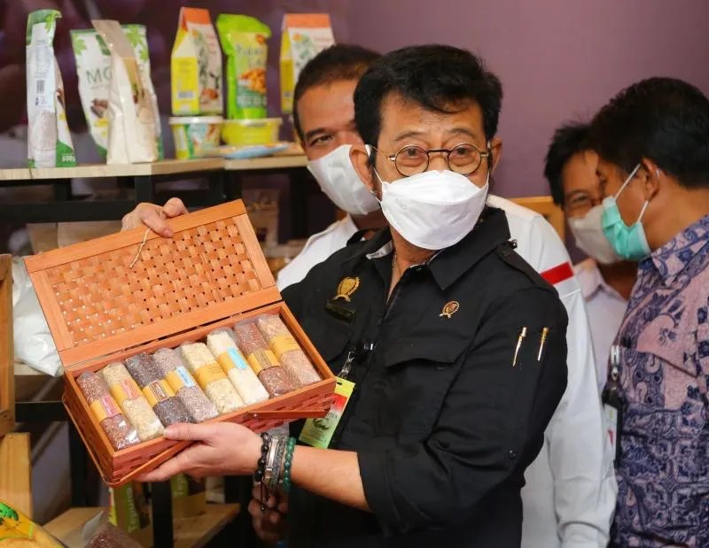 Mentan Syahrul Yasin Limpo ( Foto: Nandang Permana/Humas Kementan)