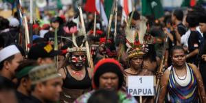 Problem Kapasitas Fiskal dan Pemekaran di Tanah Papua