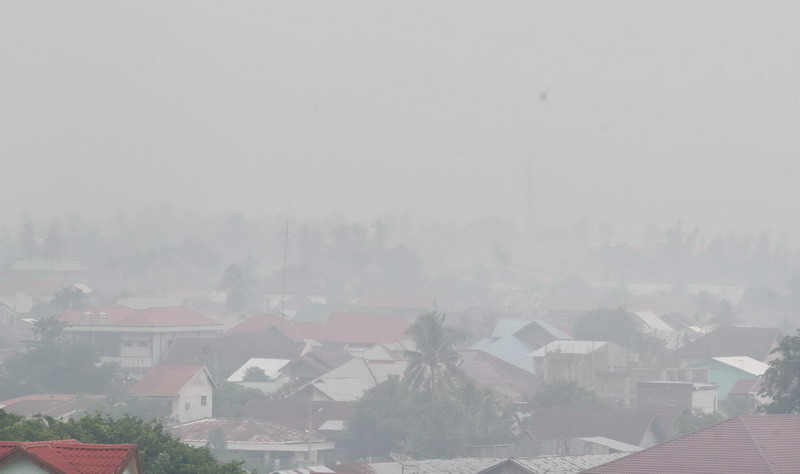 Kebakaran hutan di Banjarbaru, Kalimantan Selatan (Okezone)