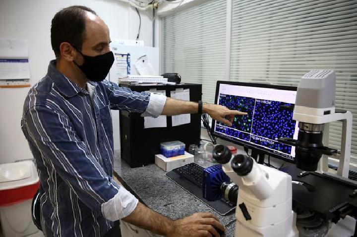 Seorang peneliti mengerjakan sampel di dalam laboratorium di Institut Fisika Universitas Sao Paulo untuk sebuah penelitian di mana lembaga tersebut mengklaim telah menemukan penurunan 75% dalam produksi penyakit virus corona (COVID-19) setelah sel-sel bersentuhan dengan bisa ular beludak Jararacussu, di Sao Carlos, Brasil 30 Agustus 2021. (Foto: Reuters).