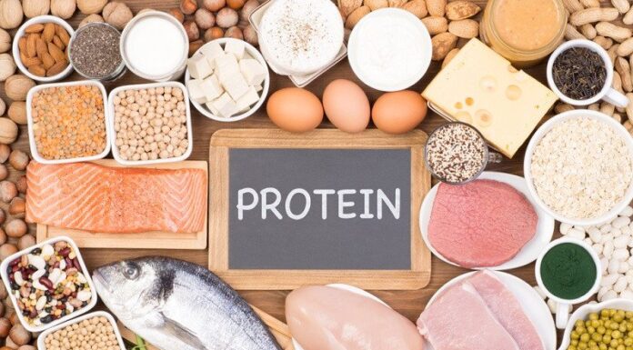 Berbagai jenis protein (Terkini.id)