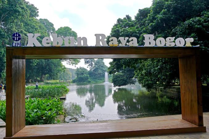 Kebun Raya Bogor. (Foto: Mongabay).