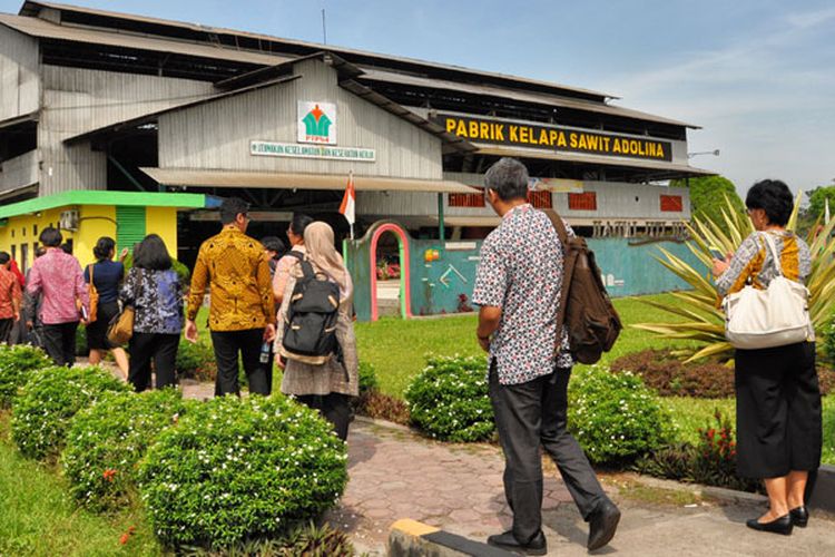 Kunjungan para diplomat Kemenlu RI ke perkebunan dan pabrik kelapa sawit Adolina milik PT Perkebunan Nusantara IV di Sumatera Utara, Kamis (22/3/2018).(ARYA DARU PANGAYUNAN)