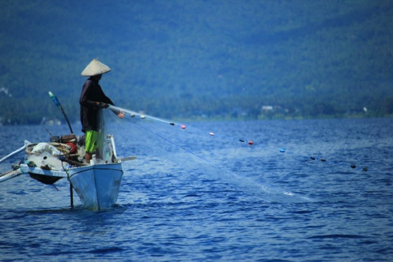 Ilustrasi Nelayan Sedang Menambak Ikan (Foto: Antara)